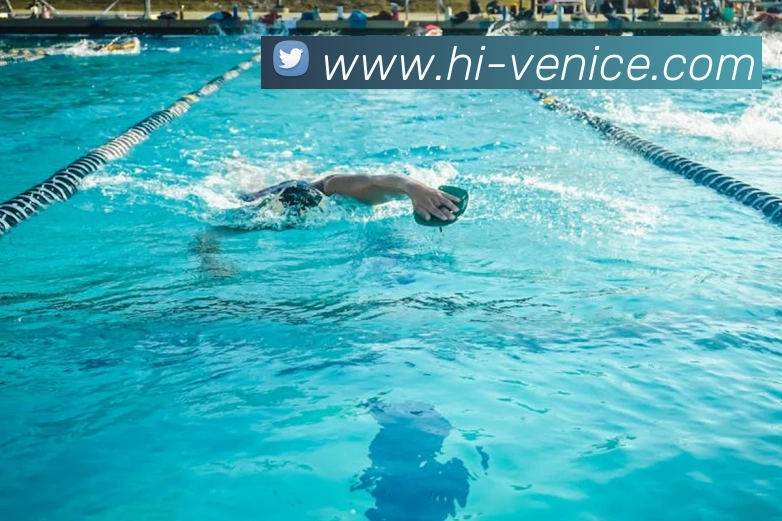 威尼斯人官网平台生态图